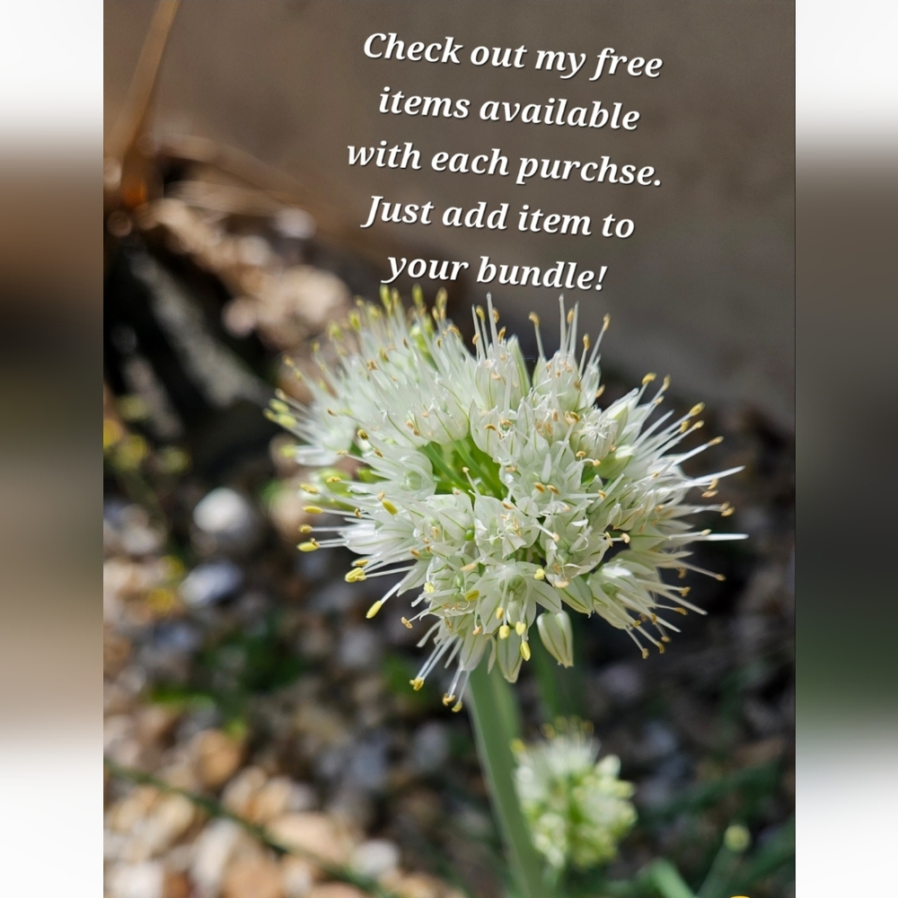 CHECK OUT MY FREE ITEMS! Limit ONE item with ANY Bundle purchase!